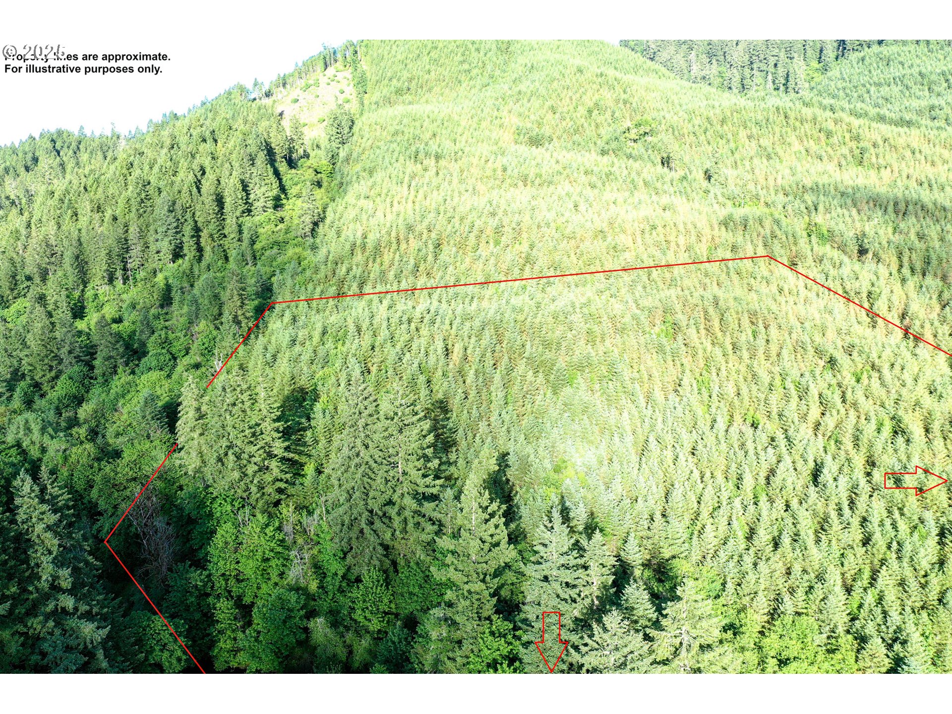 Vaughn Road, Unit TL2000 Veneta, OR 97487 - Photo 21 of 45 a bathroom with a window