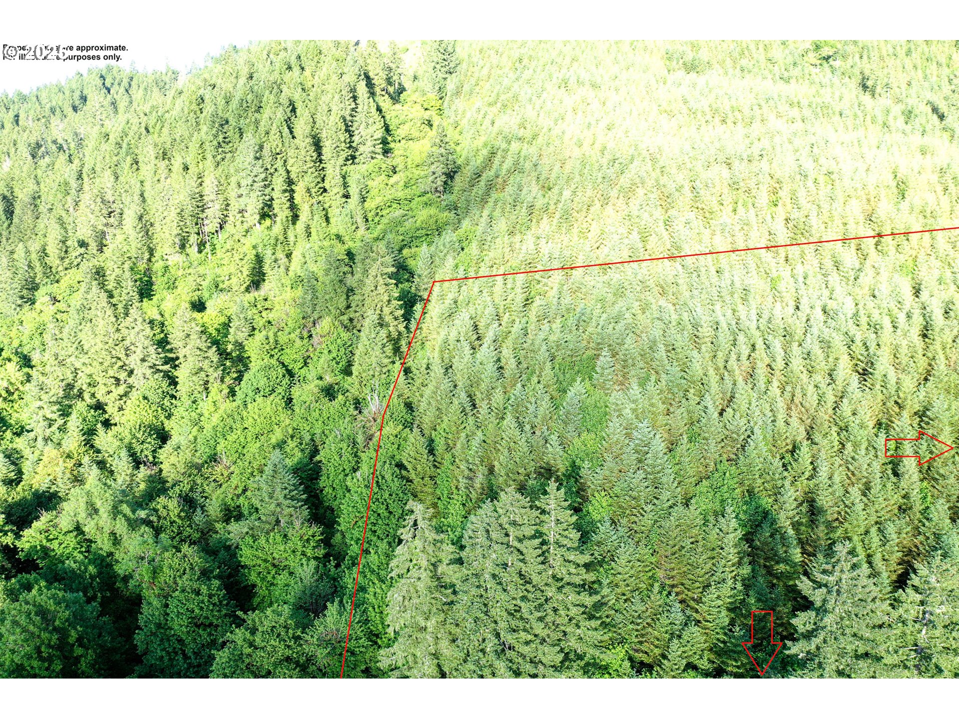 Vaughn Road, Unit TL2000 Veneta, OR 97487 - Photo 22 of 45 a view of a yard and an entryway