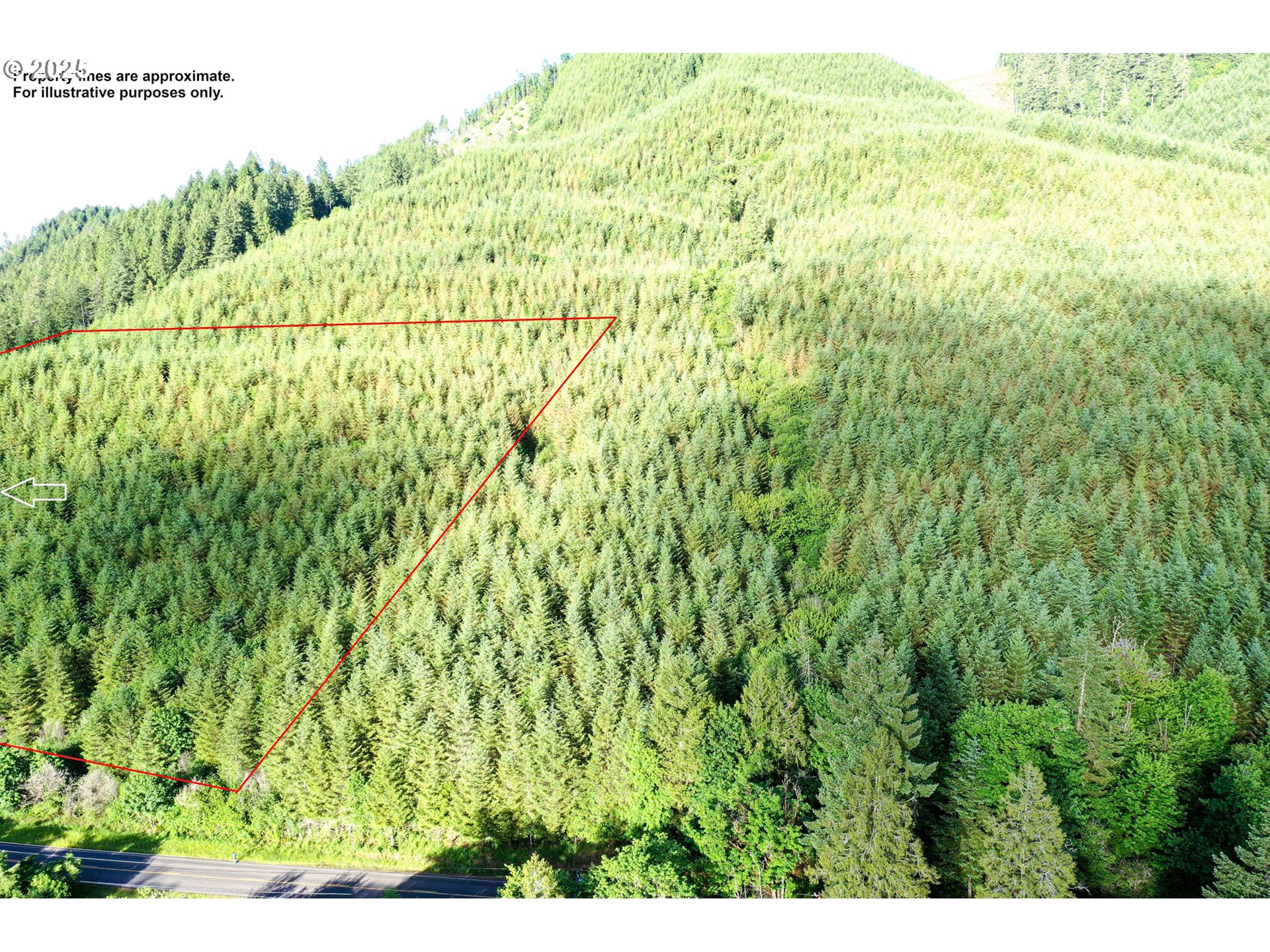 Vaughn Road, Unit TL2000 Veneta, OR 97487 - Photo 25 of 45 a view of a bunch of trees