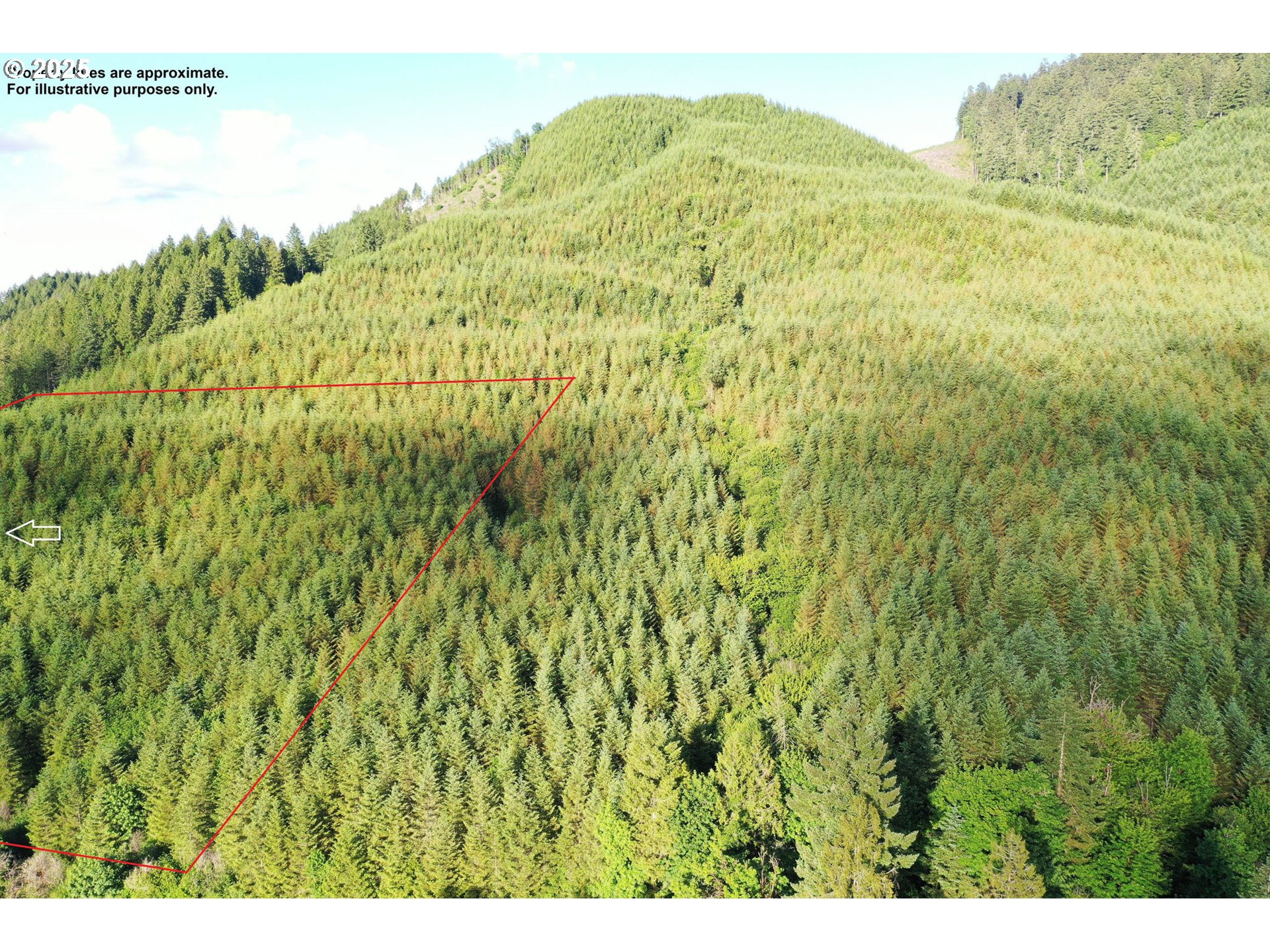 Vaughn Road, Unit TL2000 Veneta, OR 97487 - Photo 26 of 45 a view of a lush green forest with trees in the background