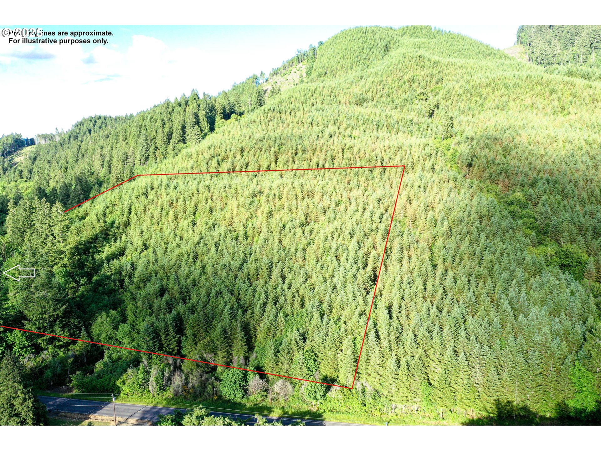 Vaughn Road, Unit TL2000 Veneta, OR 97487 - Photo 27 of 45 a backyard of a house with lots of green space