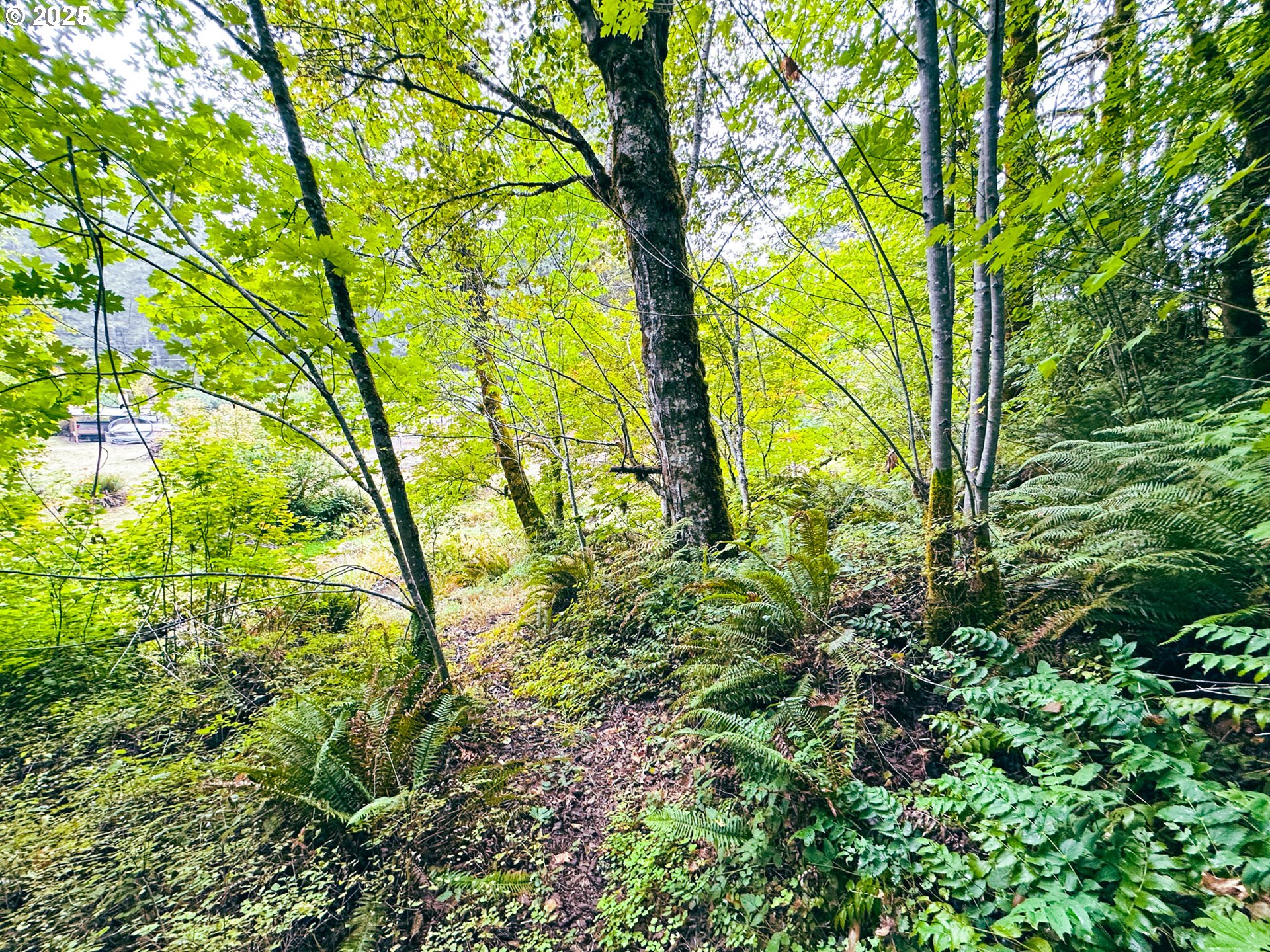 Vaughn Road, Unit TL2000 Veneta, OR 97487 - Photo 5 of 45 a backyard of a house with lots of swings and plants