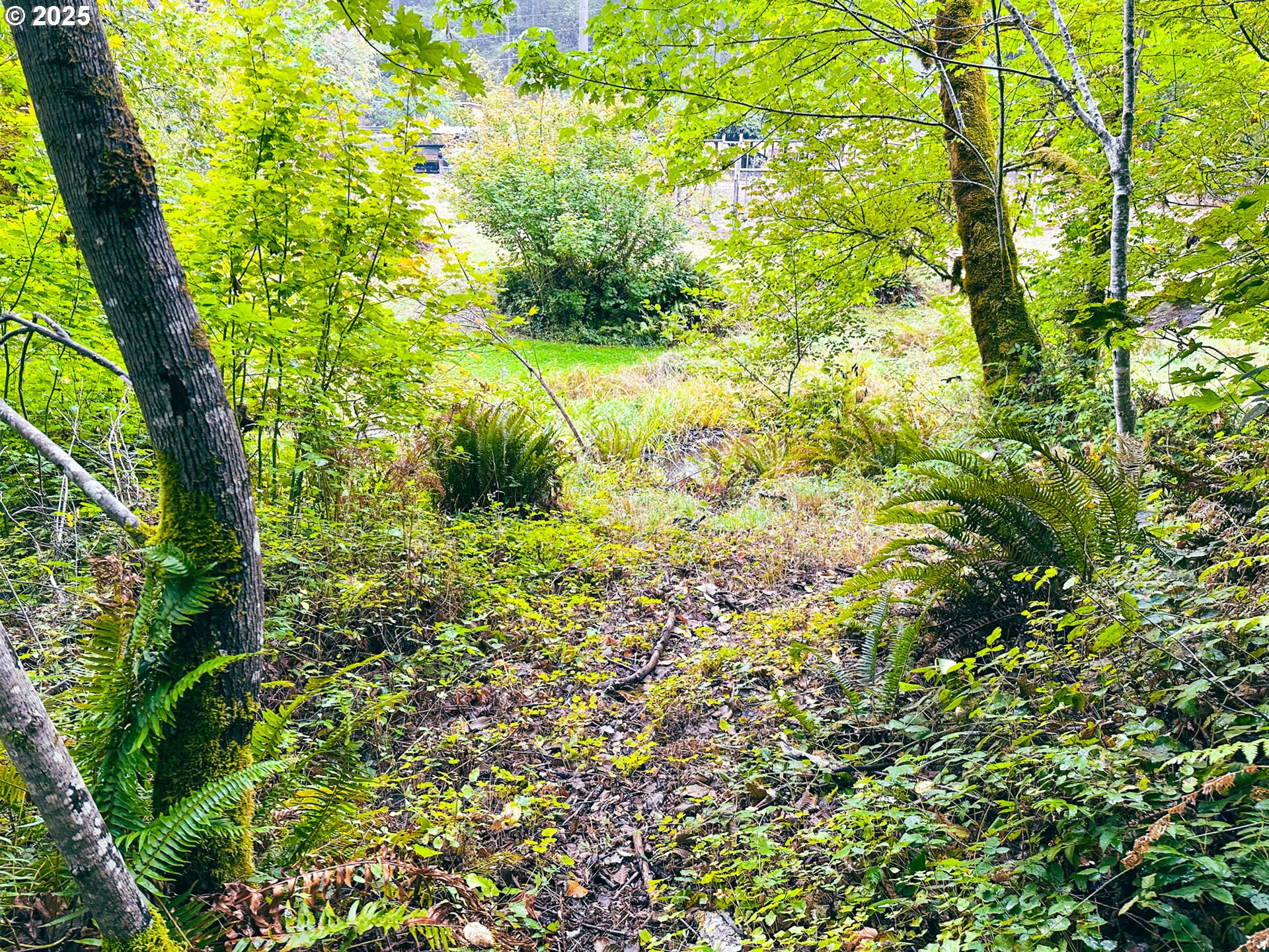 Vaughn Road, Unit TL2000 Veneta, OR 97487 - Photo 6 of 45