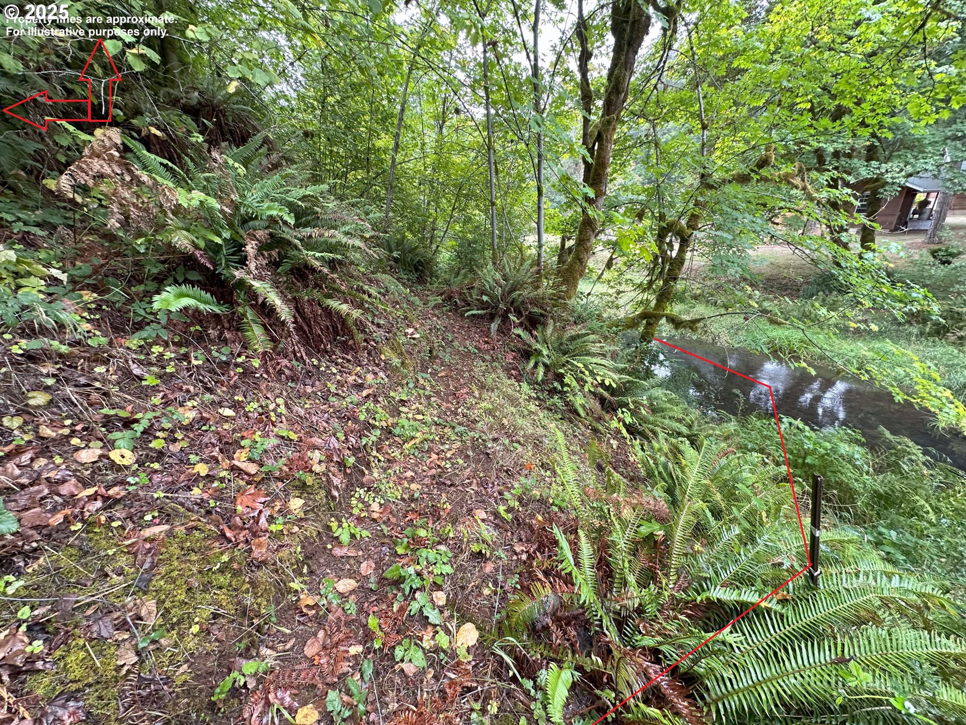 Vaughn Road, Unit TL2000 Veneta, OR 97487 - Photo 9 of 45 a view of a lush green forest