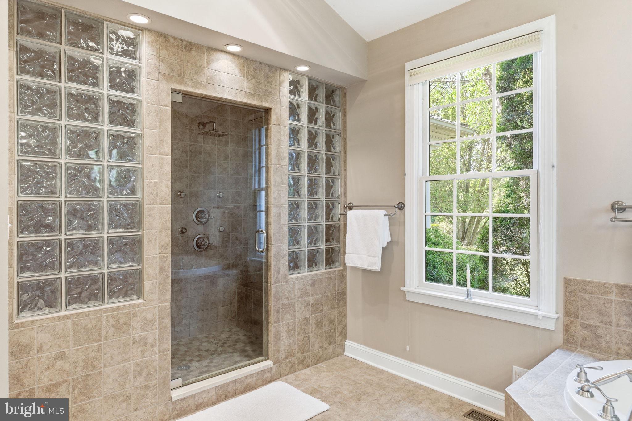 9 Deer Ridge Court Phoenix, MD 21131 - Photo 50 of 96 OVER-SIZED STEAM SHOWER