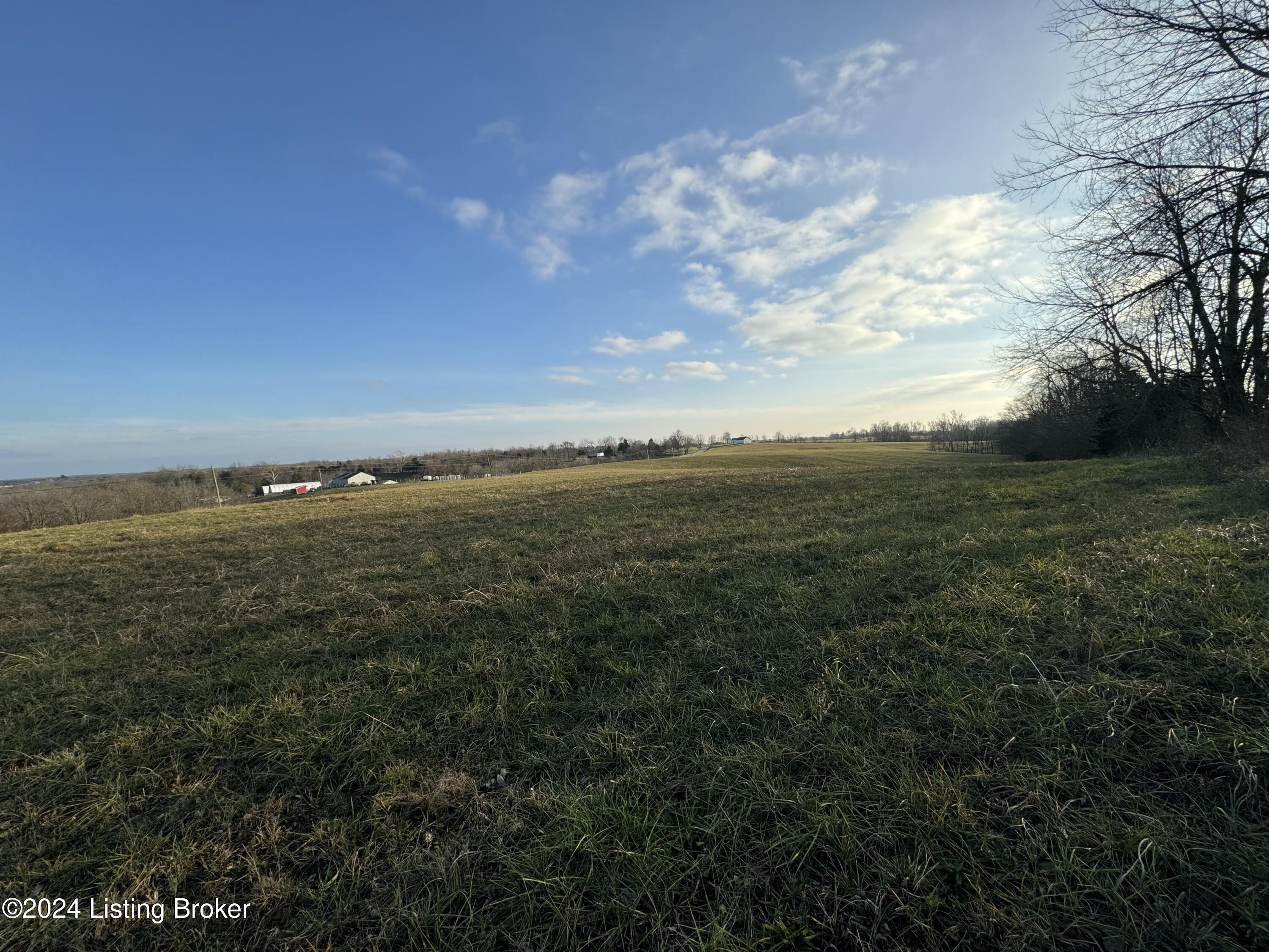 Lot 1 Mt Eden Road Waddy, KY 40076 - Photo 6 of 7 tempImageQNqWWE