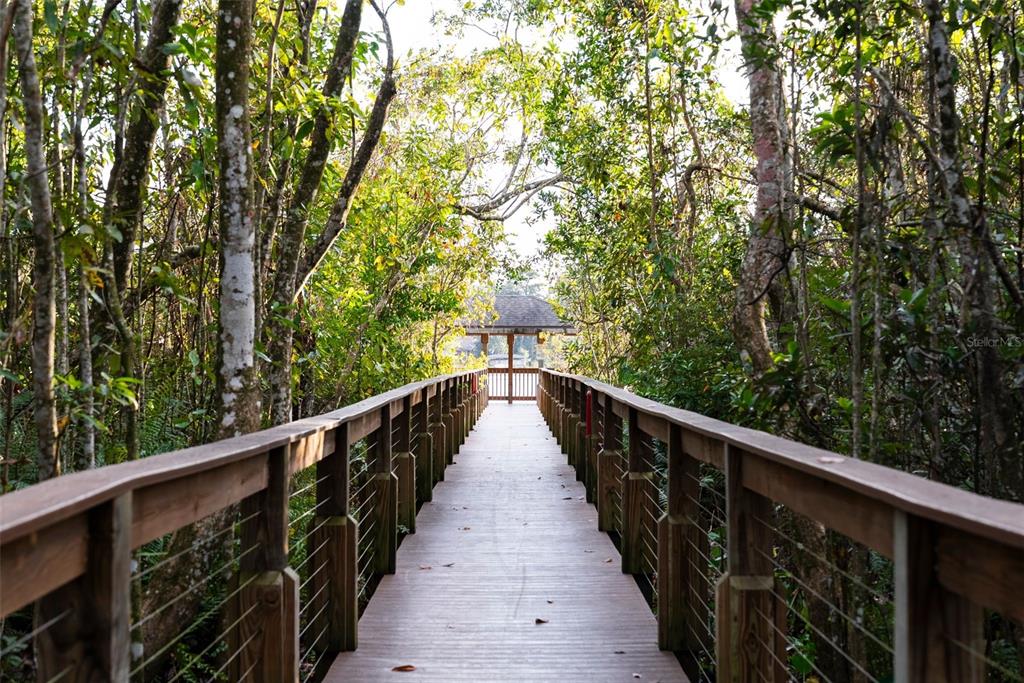 5452 Endicott Place Oviedo, FL 32765 - Photo 32 of 38 a view of balcony and yard