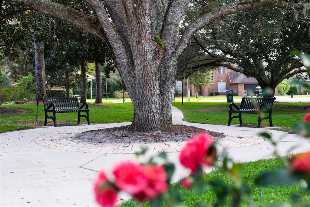 5452 Endicott Place Oviedo, FL 32765 - Photo 36 of 38 a front view of a house with garden
