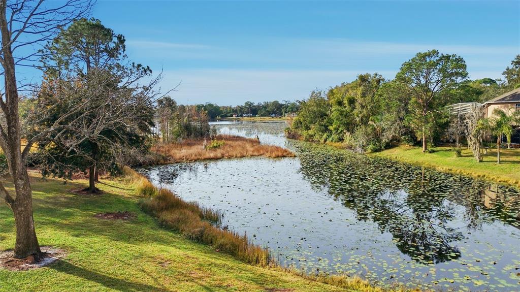 5452 Endicott Place Oviedo, FL 32765 - Photo 37 of 38 a view of a yard with large trees