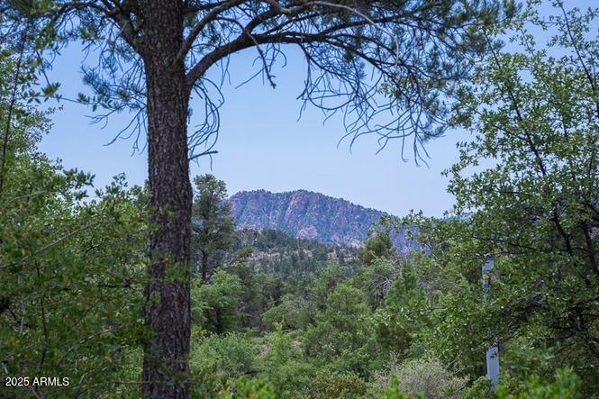 2400 South Rim Club Drive, Unit 105 Payson, AZ 85541 - Photo 4 of 12 a view of a wooden house with a large tree and a yard