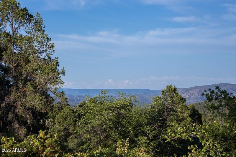 2400 South Rim Club Drive, Unit 105 Payson, AZ 85541 - Photo 6 of 12 an aerial view of a houses with a yard