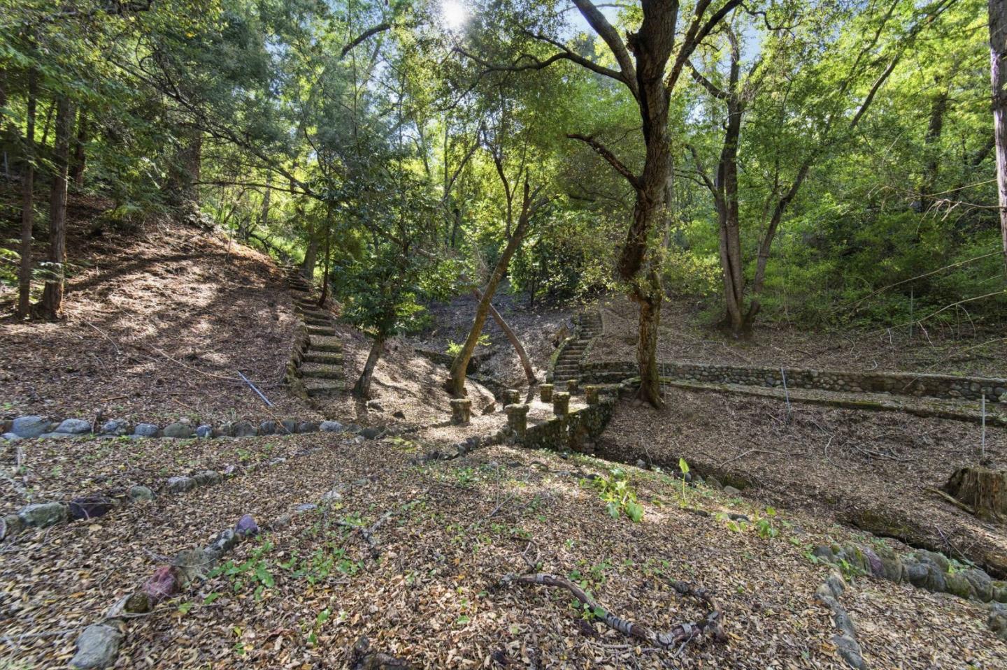 15400 Madrone Hill Road Saratoga, CA 95070 - Photo 13 of 32 a view of a forest with trees in the background