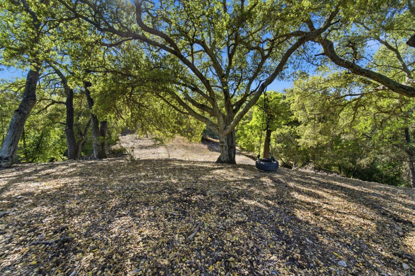 15400 Madrone Hill Road Saratoga, CA 95070 - Photo 20 of 32 a view of a tree in the middle of a yard