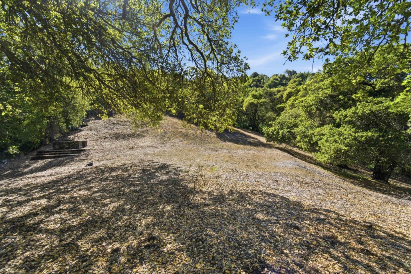 15400 Madrone Hill Road Saratoga, CA 95070 - Photo 21 of 32 a view of a garden with plants