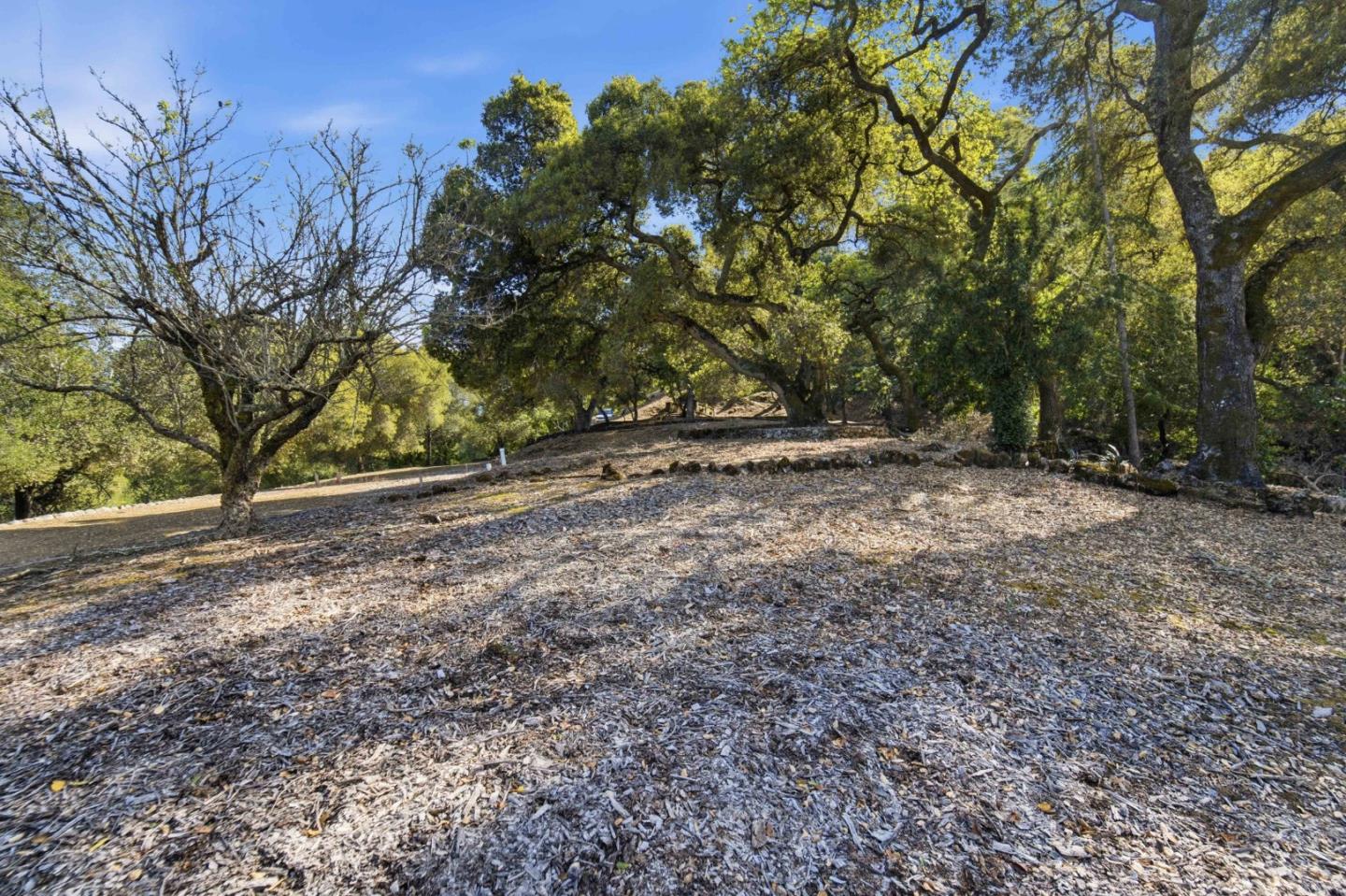 15400 Madrone Hill Road Saratoga, CA 95070 - Photo 25 of 32 a view of dirt yard with a tree