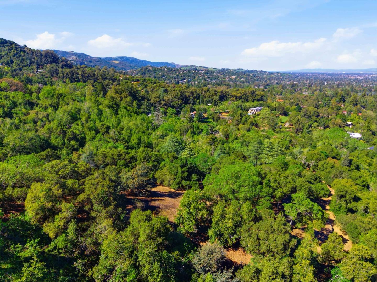 15400 Madrone Hill Road Saratoga, CA 95070 - Photo 32 of 32 a view of a lush green forest with trees in the background