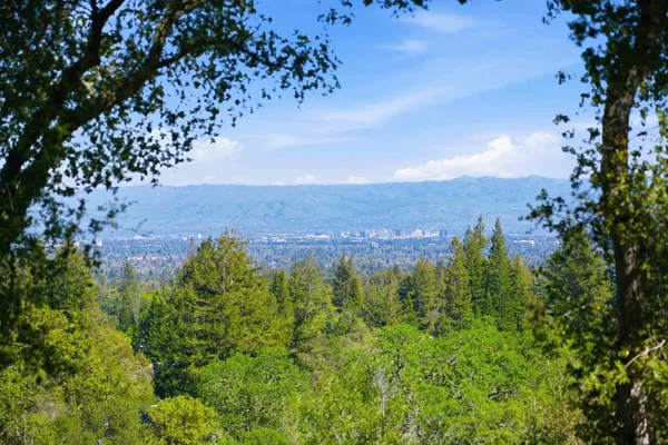 an aerial view of houses with yard