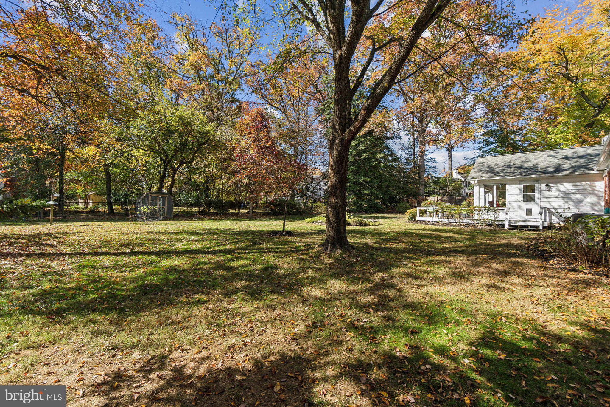 10404 Naglee Road Silver Spring, MD 20903 - Photo 21 of 35