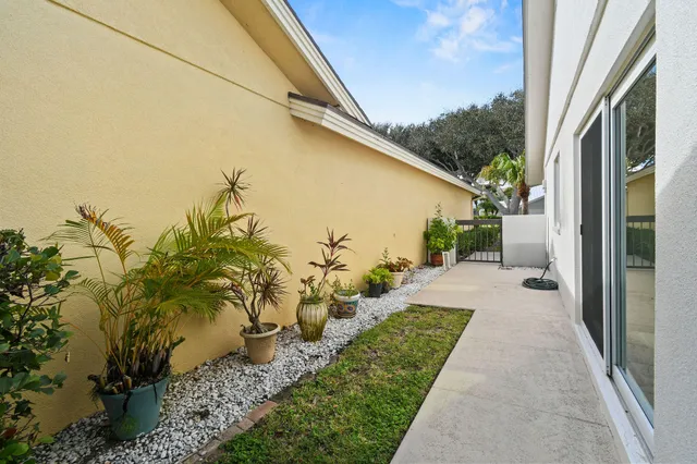 a view of a backyard with plants and a patio