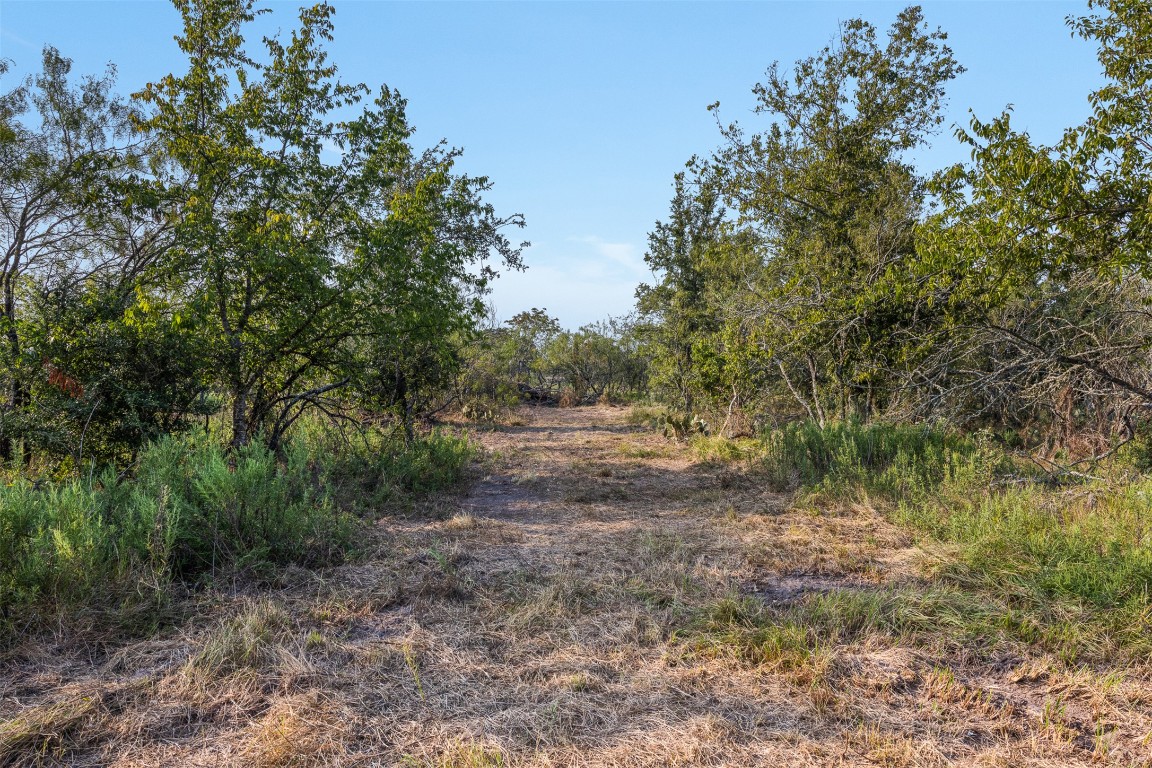 1644 Calvert Tx 77837 Calvert, TX 77837 - Photo 13 of 17 View of nature