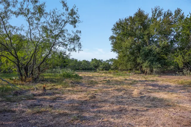 a view of a yard with trees