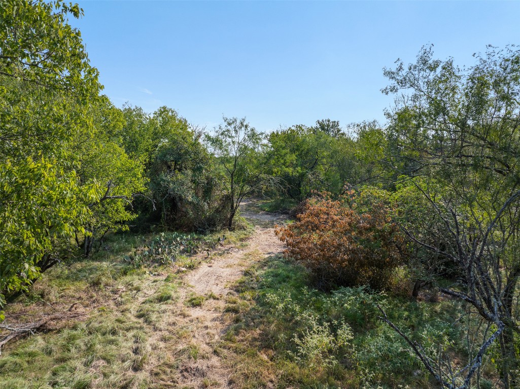 1644 Calvert Tx 77837 Calvert, TX 77837 - Photo 2 of 17 View of tree filled area
