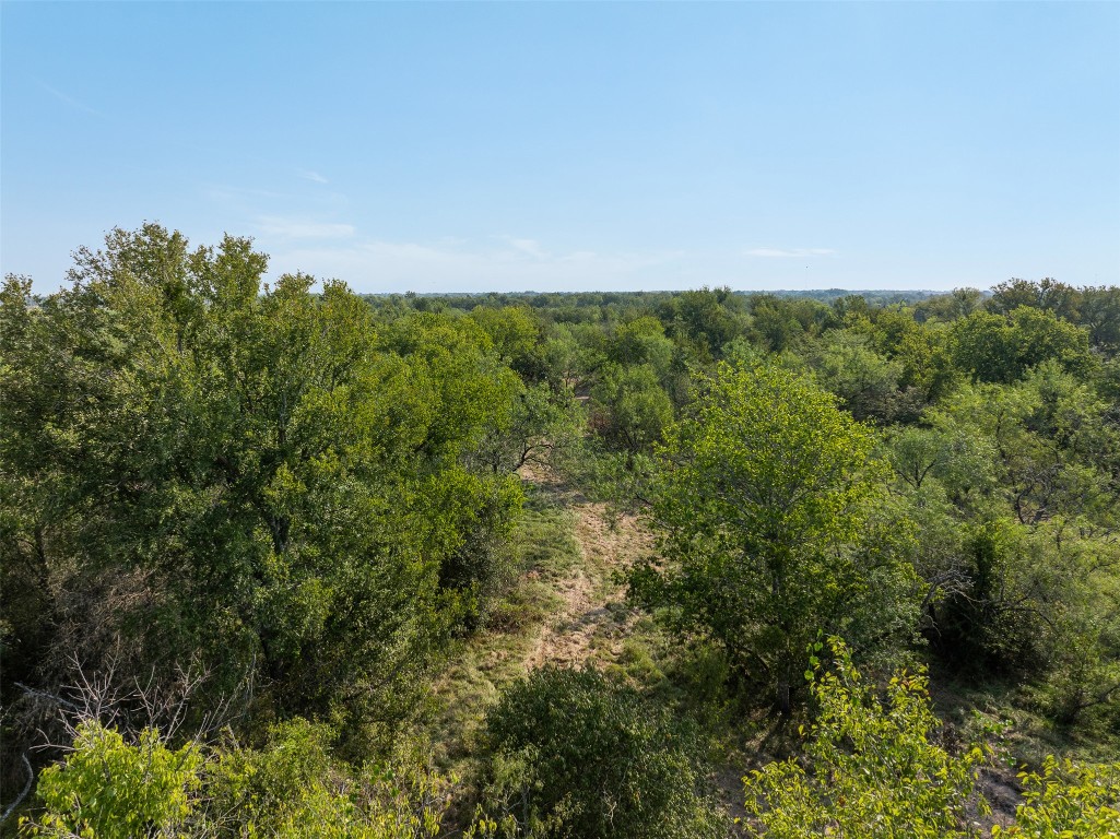 1644 Calvert Tx 77837 Calvert, TX 77837 - Photo 6 of 17 View of local wilderness