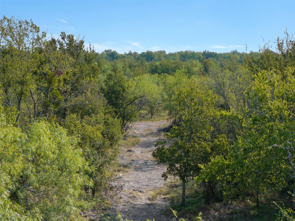 1644 Calvert Tx 77837 Calvert, TX 77837 - Photo 9 of 17 View of woods