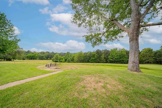 a view of a big yard with a large trees