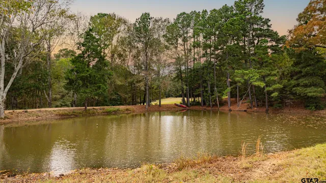 a view of a lake with trees