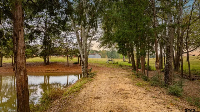 a view of a yard with trees