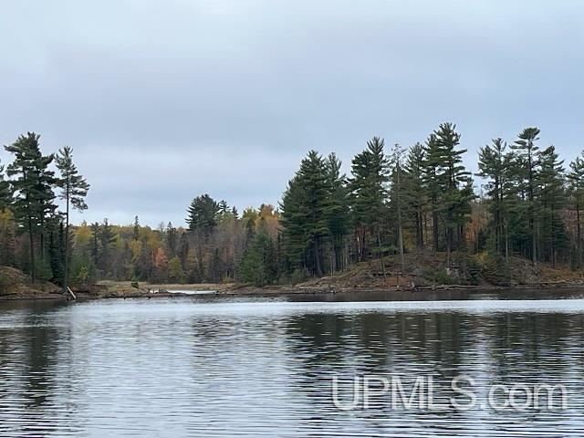24380 Co Road Ishpeming, MI 49849 - Photo 60 of 92