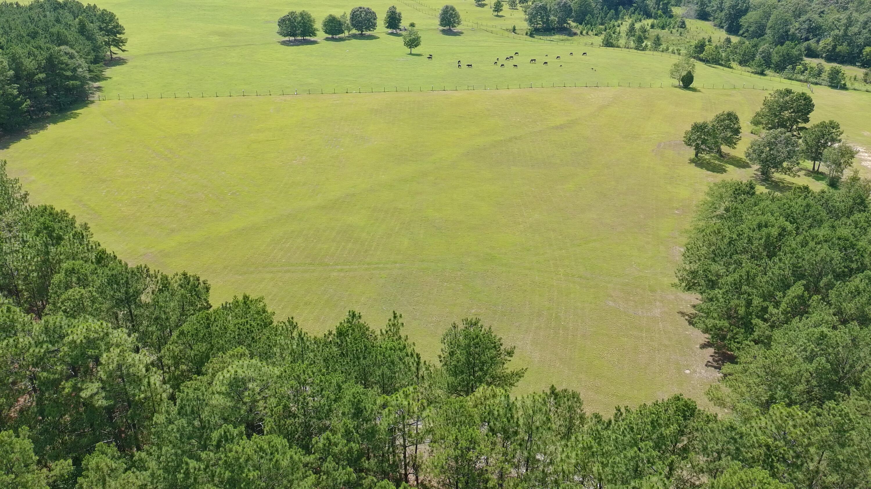 41-acres Whiskey Road Aiken, SC 29803 - Photo 21 of 44