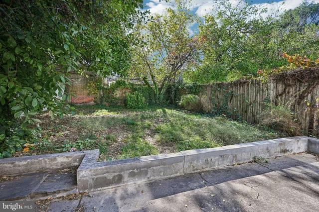 a view of a garden with plants and large trees