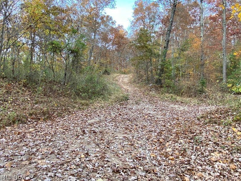 Muskingum River Road Lowell, OH 45744 - Photo 21 of 22