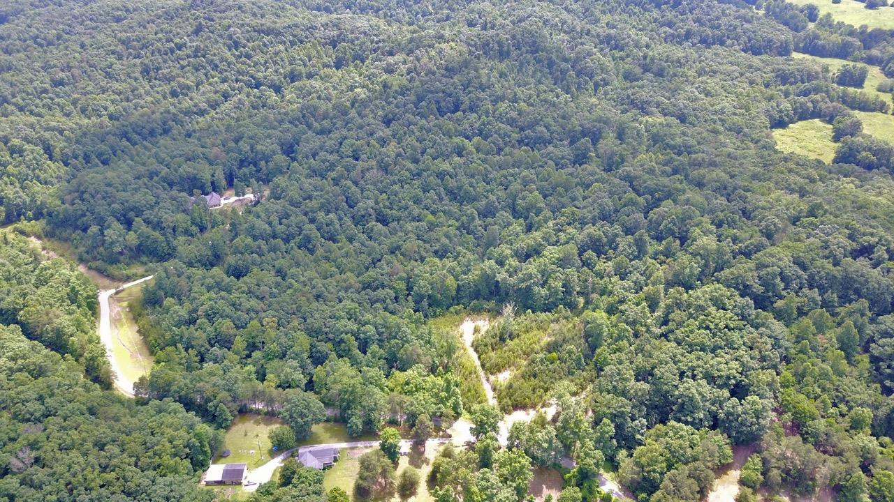 13 Gabbard Road Berea, KY 40403 - Photo 4 of 10 Photo 4