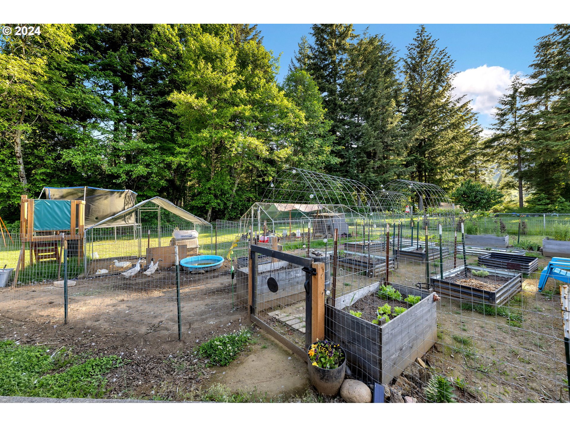 121 Vada Road Carson, WA 98610 - Photo 38 of 39 Gallery Image 38