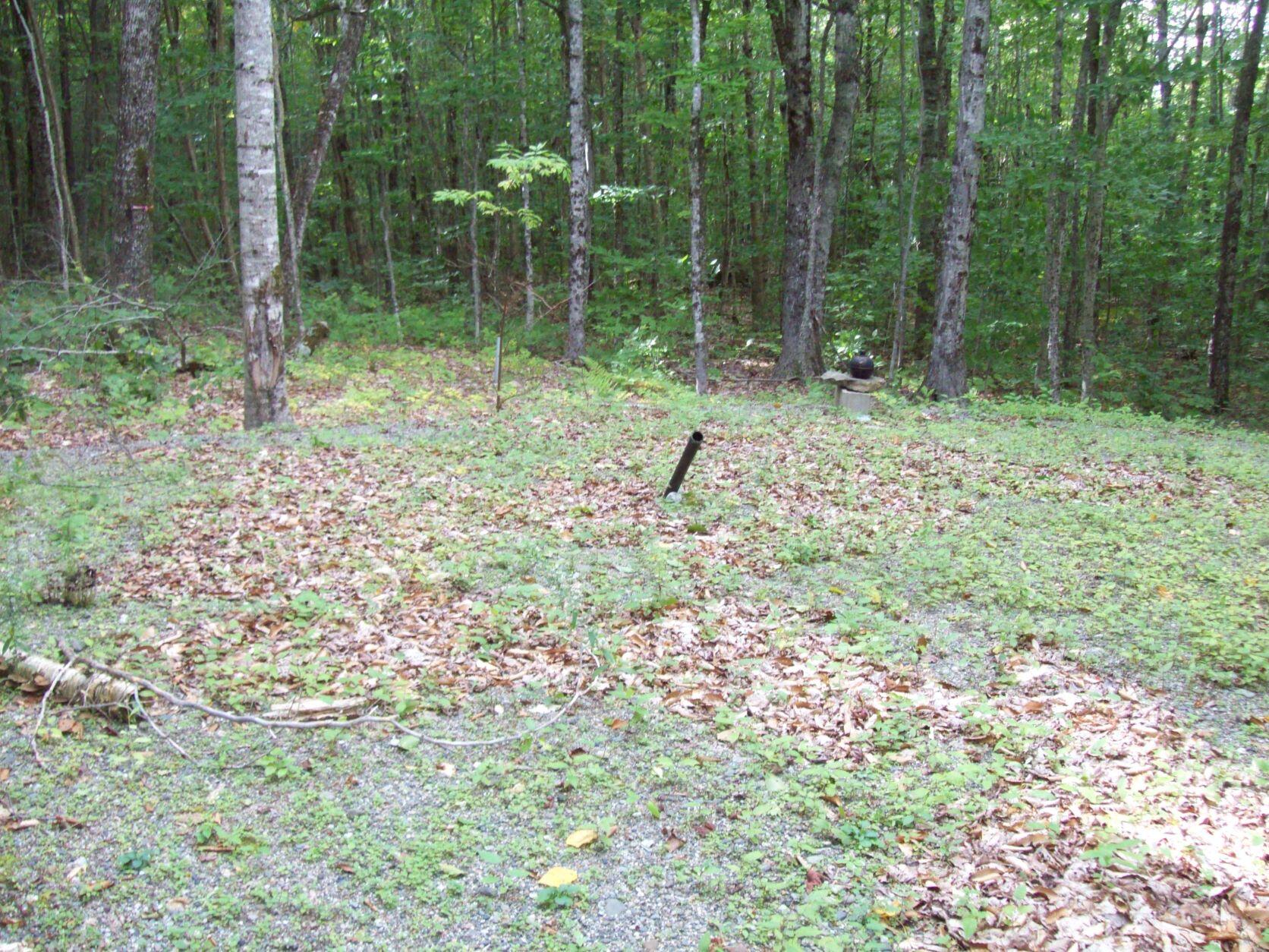 485 Spaulding Pond Road Lakeville, ME 04487 - Photo 6 of 14 100_3080