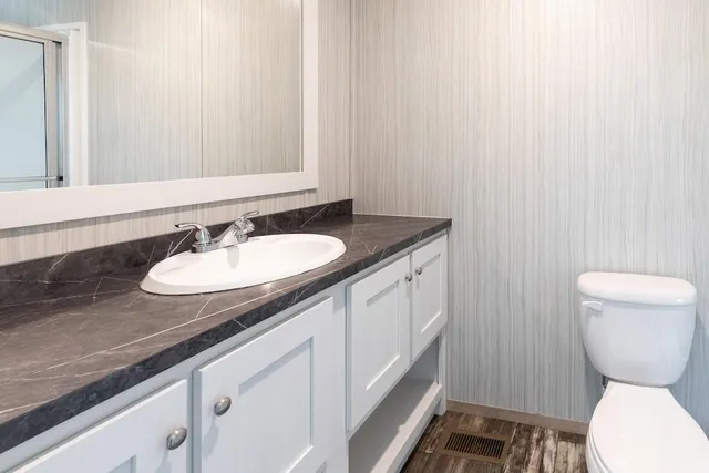 a bathroom with a granite countertop sink toilet and a mirror