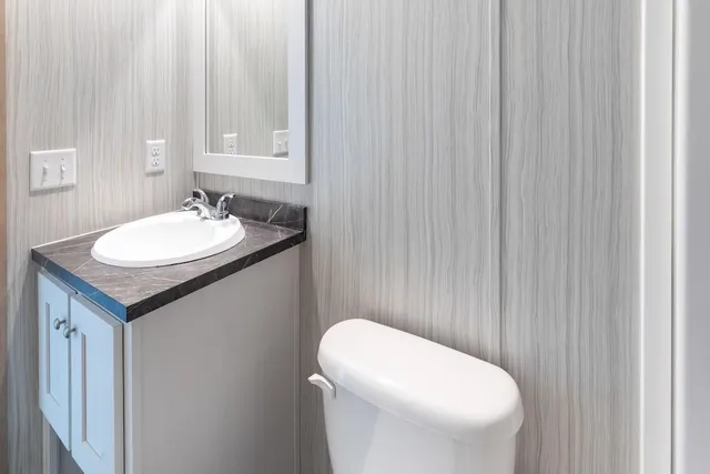 a bathroom with a toilet a sink and a mirror