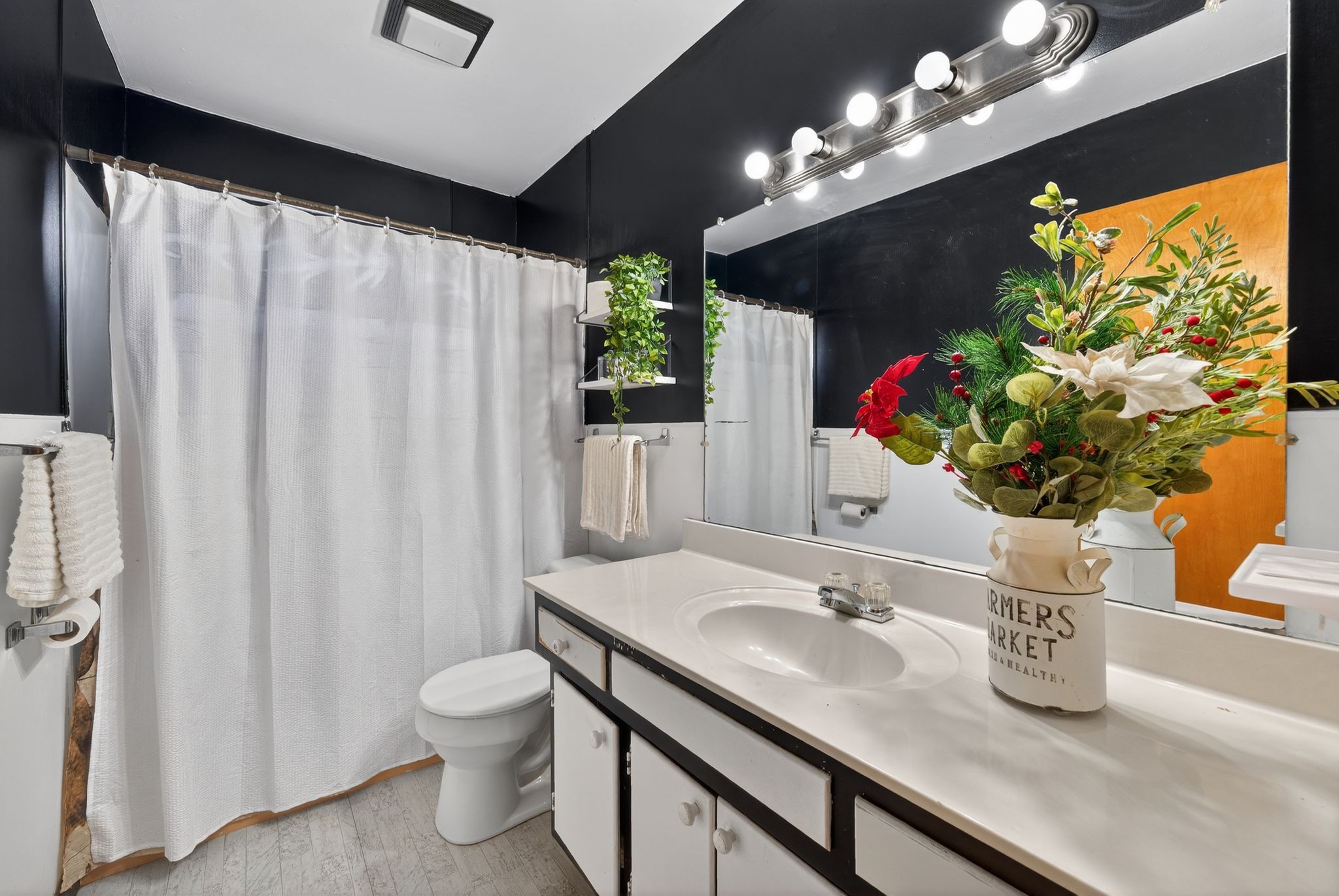 2191 Highway 100 Centerville, TN 37033 - Photo 5 of 11 a bathroom with a sink a toilet and a mirror