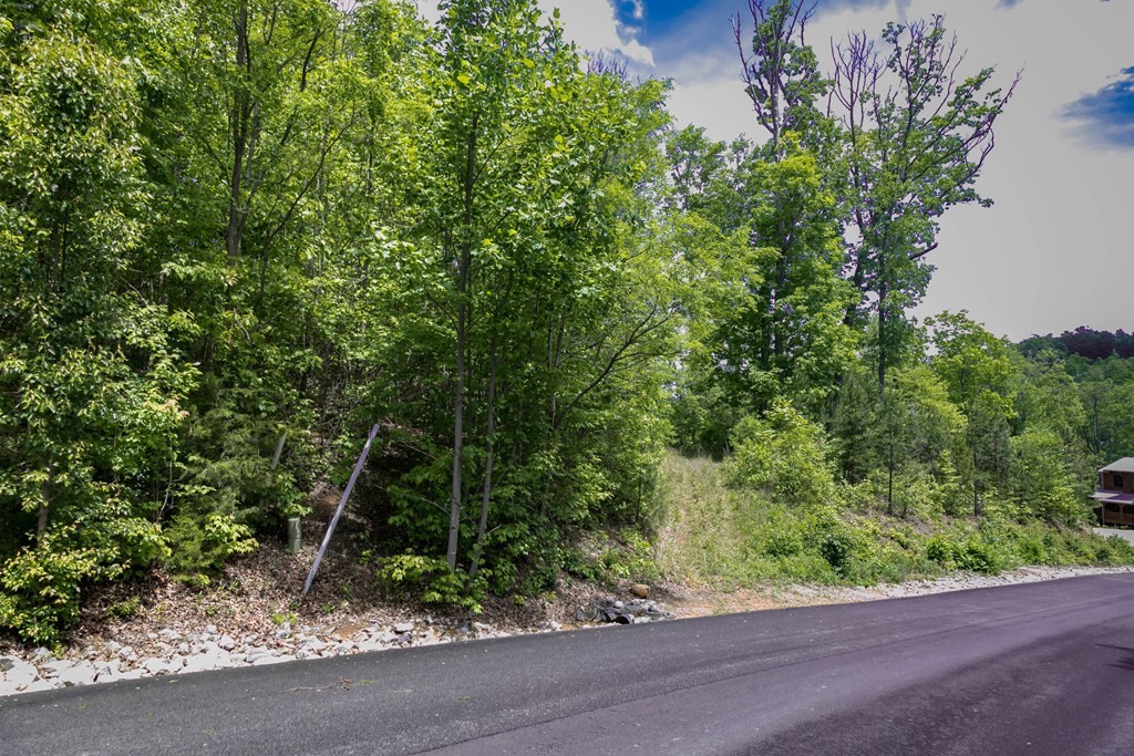 134 Summit Trails Drive Sevierville, TN 37862 - Photo 9 of 19