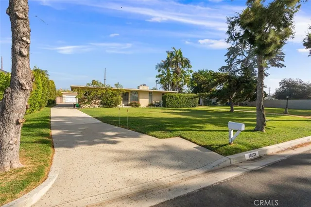a view of a park with large trees