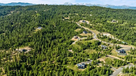 a view of a lush green field with a houses