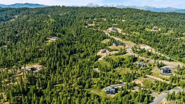 a view of a lush green field with a houses