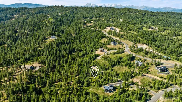 a view of a lush green field with lots of bushes
