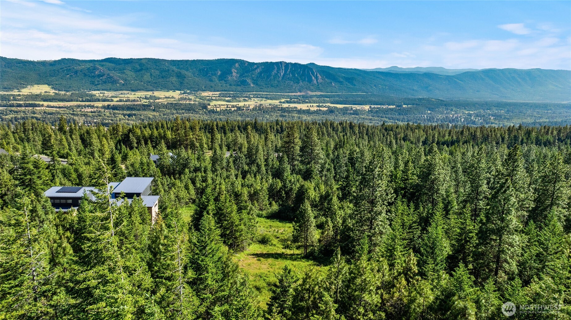 29 Frst Rdg Drive Cle Elum, WA 98922 - Photo 17 of 26 a view of a lush green field with lots of plants in it