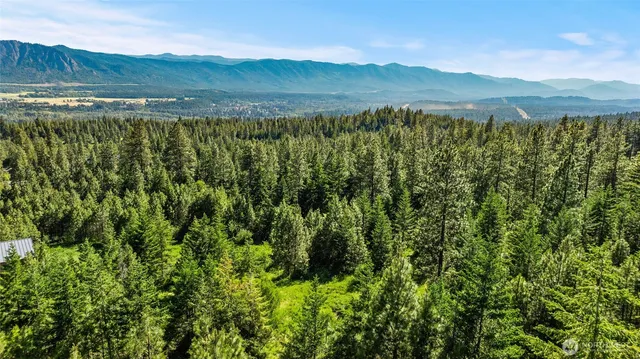 a view of a lush green field with a mountain in the background