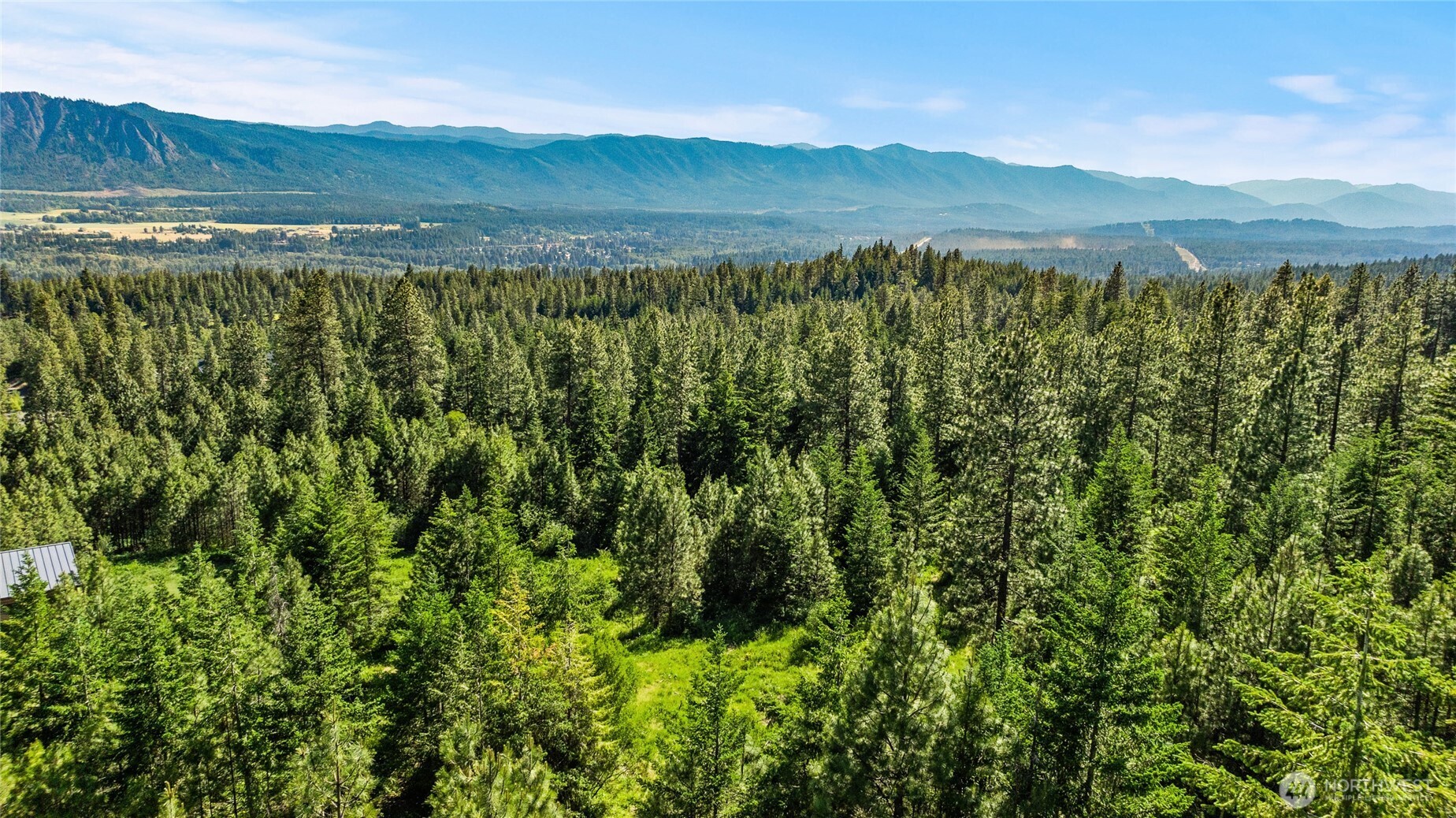 29 Frst Rdg Drive Cle Elum, WA 98922 - Photo 18 of 26 a view of a lush green field with a mountain in the background
