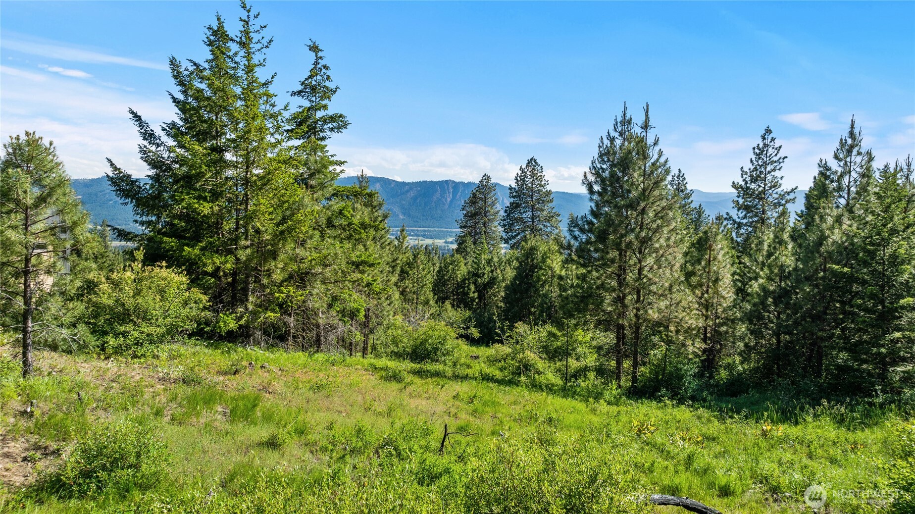 29 Frst Rdg Drive Cle Elum, WA 98922 - Photo 3 of 26 a view of a lush green space with sea